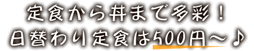 定食から丼まで多彩！　日替わり定食は500円～♪
